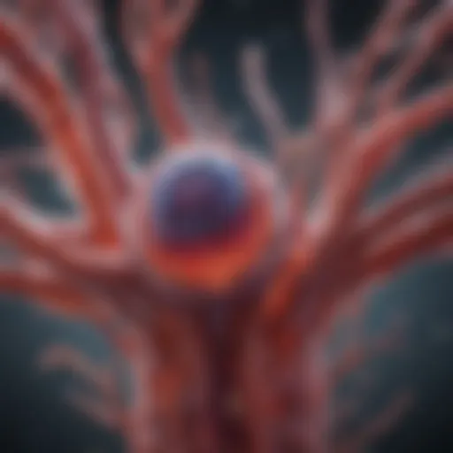 Visual representation of micro vessel pathology