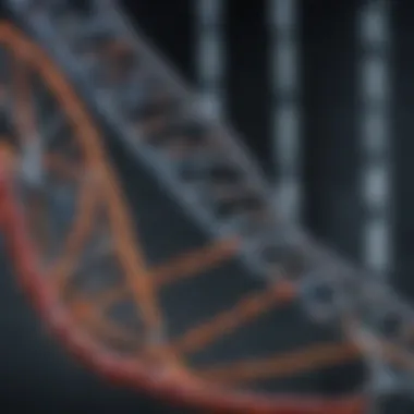 Graph showing molecular weight determination using DNA ladders