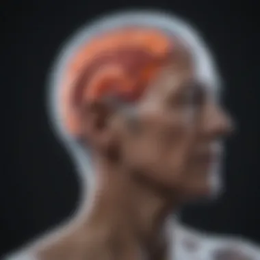 MRI Scan Displaying Key Features of Lewy Body Dementia MRI scan highlighting features of LBD