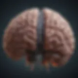 Visual representation of brain activity during a neuroimaging scan