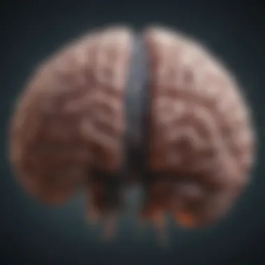 Brain Activity Visualization Visual representation of brain activity during a neuroimaging scan