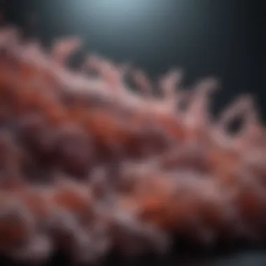 Biological Behaviors of NSCLC Biological behaviors of NSCLC cells