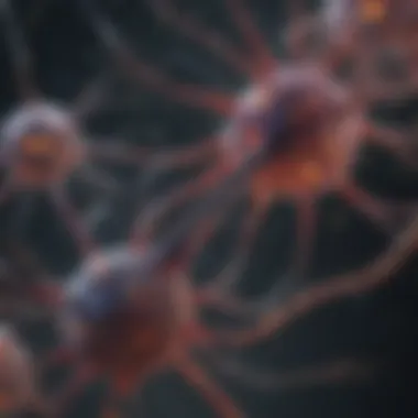 Astrocytic Interactions with Neurons Diagram showing astrocytic interactions with neurons
