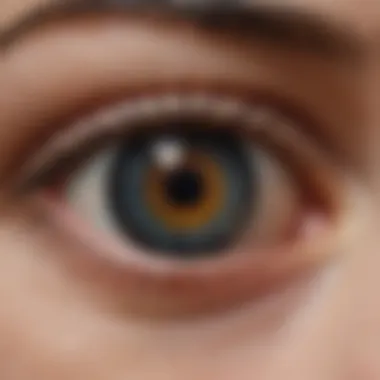 Routine Monitoring and Follow-Up in Ocular Hypertension Chart displaying monitoring and follow-up techniques