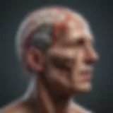 Illustration depicting brain regions affected by tumors