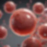 Detailed structure of a platelet illustrating its components