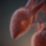 Biochemical pathways related to liver enzyme function