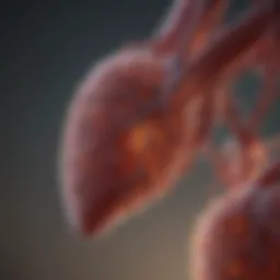 Biochemical pathways related to liver enzyme function