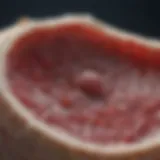Detailed infographic on bone marrow cancer prognosis factors