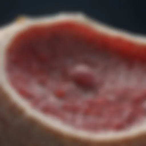 Detailed infographic on bone marrow cancer prognosis factors