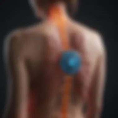 Precision in Radiation Therapy for Spinal Metastasis Radiation therapy targeting spinal metastasis