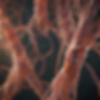 Genetic Insights into Multiple Sclerosis Visualization of genetic factors influencing multiple sclerosis