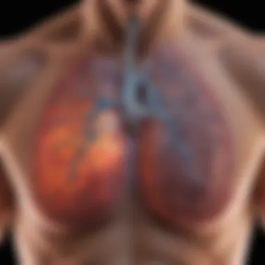 Diagram of lung function in COPD