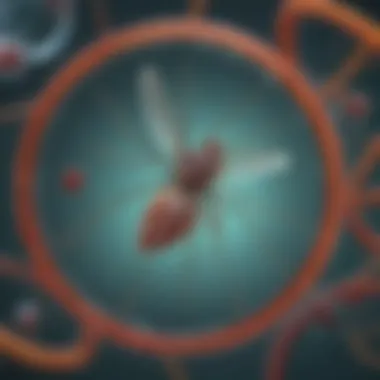 A detailed illustration of the biological mechanisms involved in the formation of West Nile rings.