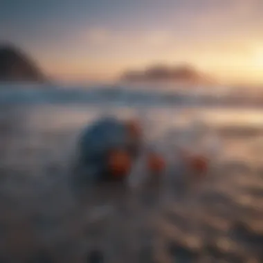 Innovative Solutions for Ocean Plastic Waste Innovative solutions to combat ocean plastic waste