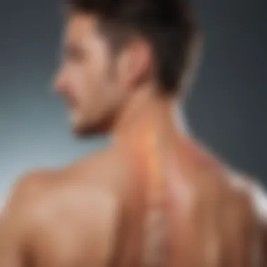 Techniques in Spinal Manual Therapy Diagram highlighting various spinal manual therapy techniques