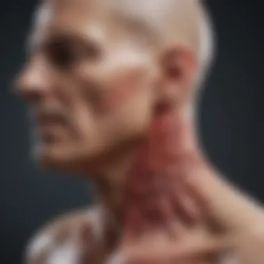 Visual representation of factors influencing disease progression in head and neck cancer.
