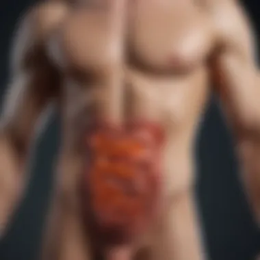 Innovative Treatments for Ulcerative Colitis Innovative treatments for inflammatory bowel disease