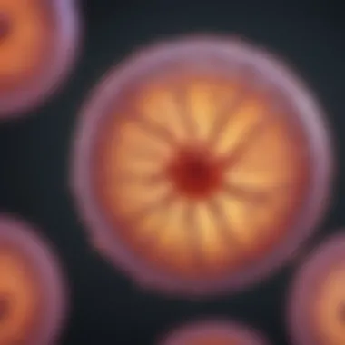 The Potential of Stem Cells Microscopic view of stem cells