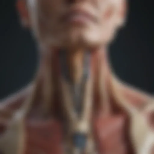 Anatomical illustration of the cervical spine