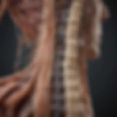 Impact of Myelopathy on Spinal Cord Function Diagram illustrating myelopathy effects on the spinal cord