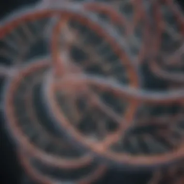 Structure of Supercoiled DNA Illustration depicting the structure of supercoiled DNA