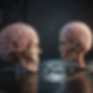 Support Systems for Caregivers of Patients with Brain Tumors Visualization of support systems for caregivers