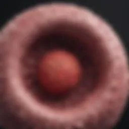Graph illustrating survival rates of ductal carcinoma