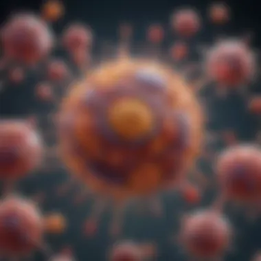 Function of Antibodies in Immune Response Diagram highlighting the role of antibodies in neutralizing pathogens