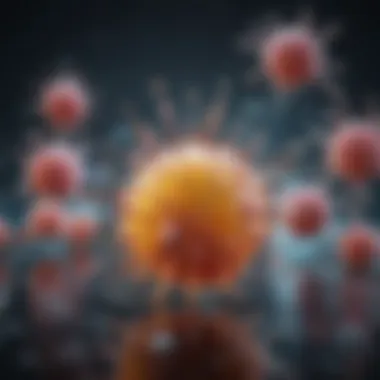 Illustration of the antibody production process within the immune system