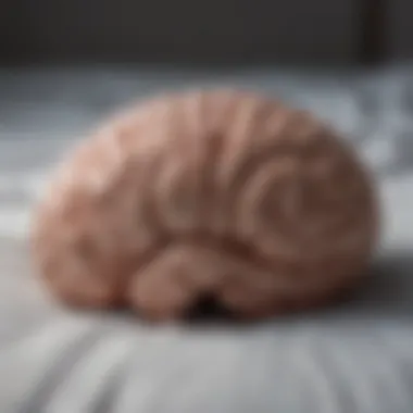 A visual representation of brain activity during sleep