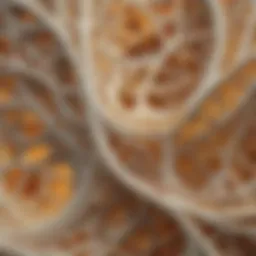 Microscopic view of bone color filament showcasing intricate patterns