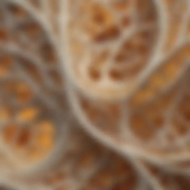 Microscopic view of bone color filament showcasing intricate patterns