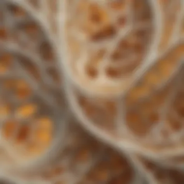 Intricate Patterns in Bone Color Filament Microscopic view of bone color filament showcasing intricate patterns
