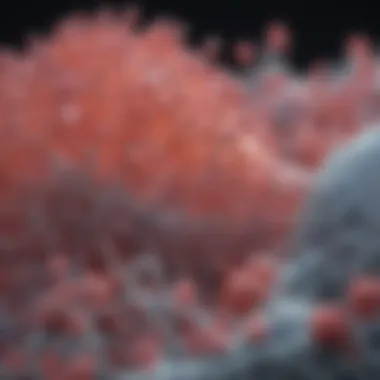 Lipid Roles in Cell Membrane Integrity Diagram showing lipid roles in cell membrane integrity.