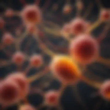 Signaling Functions of Lipids Chart illustrating signaling functions of lipids in biological systems.