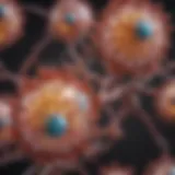 Illustration depicting lipid molecules with diverse structures.