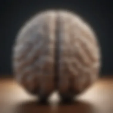 Brain Structure Changes Associated with Anxiety Visual representation of brain structure changes due to anxiety