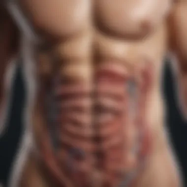 Recent Research on Gut Microbiota and Its Influence on Weight Management Research studies on gut microbiota and weight management