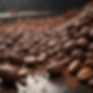 Cacao beans being processed for chocolate production