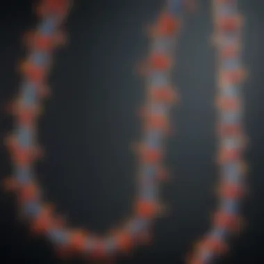 Structural Representation of Antibody Light Chains Structural representation of antibody light chains