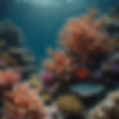 Coral reefs thriving in the Pacific Ocean's ecosystem, symbolizing biodiversity.
