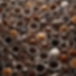 A close-up of various caffeinated beverages highlighting their compositions.