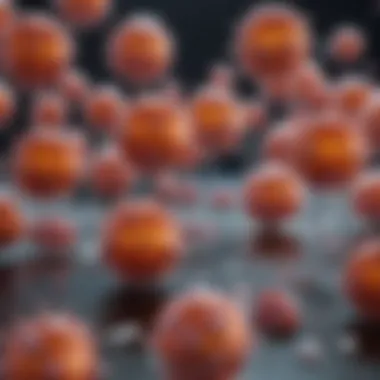 Therapeutic Potential of B Cell Receptor Antibodies Depiction of therapeutic applications of B cell receptor antibodies