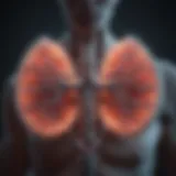 Diagram illustrating the mechanism of action of biologics in asthma