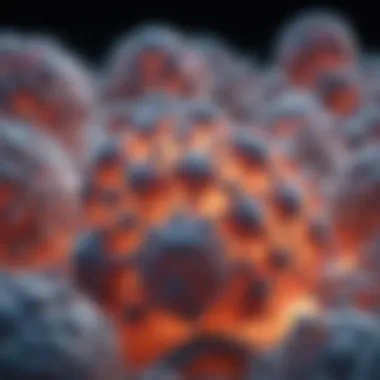 Notable The Role of Caspase-3 in Apoptosis: Mechanisms and Implications Notable The Role of Caspase-3 in Apoptosis: Mechanisms and Implications