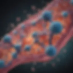 Illustration of corticosteroids binding to cellular receptors