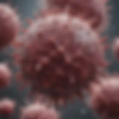 Microscopic analysis of neutrophil morphology and characteristics
