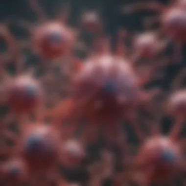 Neutrophil Signaling Mechanisms Diagrammatic representation of neutrophil signaling pathways