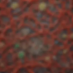 Microscopic view of Ruminococcaceae bacteria